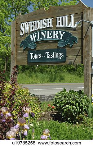 Romulus, NY, New York, Finger Lakes, Swedish Hill Winery View Large Photo Image Stock Photo - Romulus, NY, New York, Finger Lakes, Swedish Hill Winery. Fotosearch