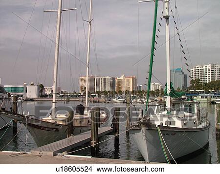 Picture -  Sarasota, FL, Florida, Sarasota Bay, marina. Fotosearch