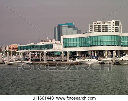 Sarasota, FL, Florida, Sarasota Bay, Island Park, Marina Jacks View Large Photo Image Stock Image - Sarasota, FL, Florida, Sarasota Bay, Island Park, Marina Jacks. Fotosearch