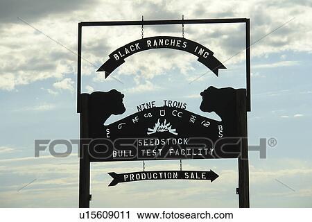 Sheridan County, NE, Nebraska, Rt. 2 Nine Irons Ranch, cattle ranch sign View Large Photo Image Stock Image - Sheridan County, NE, Nebraska, Rt. 2 Nine Irons Ranch, cattle ranch sign. Fotosearch