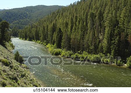 Stanley, ID, Idaho, Sawtooth National Recreation Area, Sawtooth National Forest, Sawtooth Valley, Salmon River View Large Photo Image Picture - Stanley, ID, Idaho, Sawtooth National Recreation Area, Sawtooth National Forest, Sawtooth Valley, Salmon River. Fotosearch