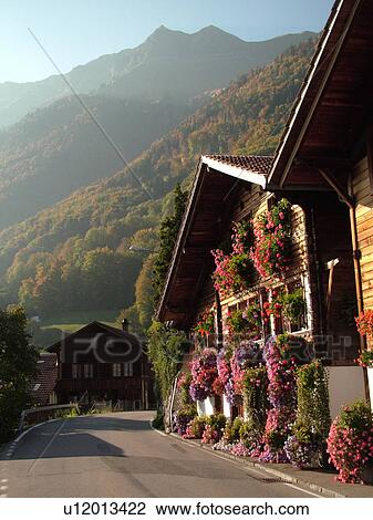 Switzerland, Europe, Bern, Berne, Brienz, Berner Oberland, village, chalets, flowers View Large Photo Image Stock Image - Switzerland, Europe, Bern, Berne, Brienz, Berner Oberland, village, chalets, flowers. Fotosearch