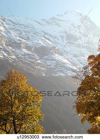 Switzerland, Europe, Bern, Berne, Grindelwald, Bernese Alps, Berner Oberland, Eiger View Large Photo Image Stock Image - Switzerland, Europe, Bern, Berne, Grindelwald, Bernese Alps, Berner Oberland, Eiger. Fotosearch