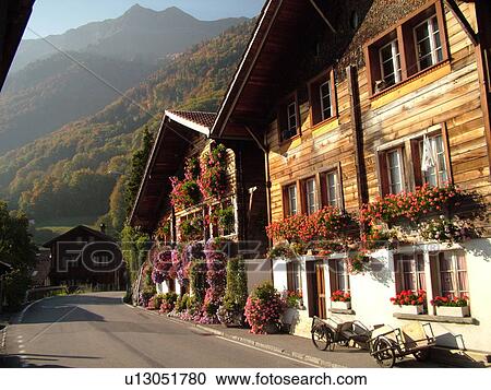 Switzerland, Europe, Bern, Berne, Brienz, Berner Oberland, village, chalets, flowers View Large Photo Image Stock Image - Switzerland, Europe, Bern, Berne, Brienz, Berner Oberland, village, chalets, flowers. Fotosearch