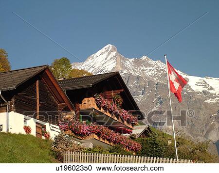 Switzerland, Europe, Bern, Berne, Grindelwald, Bernese Alps, Berner Oberland, mountain chalet decorated with flowers, swiss flag View Large Photo Image Stock Image - Switzerland, Europe, Bern, Berne, Grindelwald, Bernese Alps, Berner Oberland, mountain chalet decorated with flowers, swiss flag. Fotosearch