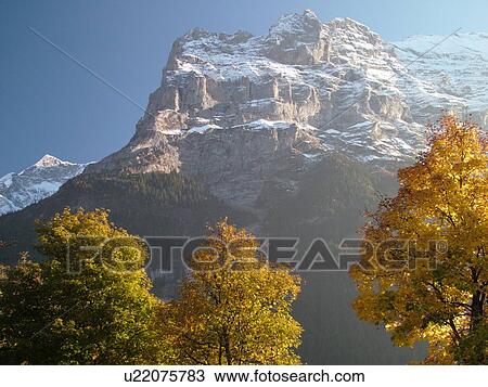 Switzerland, Europe, Bern, Berne, Grindelwald, Bernese Alps, Berner Oberland, Eiger View Large Photo Image Stock Image - Switzerland, Europe, Bern, Berne, Grindelwald, Bernese Alps, Berner Oberland, Eiger. Fotosearch