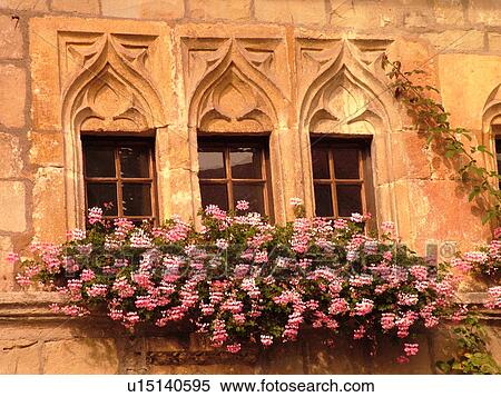 Switzerland, Europe, Fribourg, Estavayer le Lac, village, windows, pink geraniums in windowboxes, stonewall View Large Photo Image Stock Photography - Switzerland, Europe, Fribourg, Estavayer le Lac, village, windows, pink geraniums in windowboxes, stonewall. Fotosearch