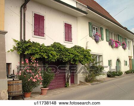 Stock Photo -  Switzerland, Europe, Fribourg, Vully, village. Fotosearch
