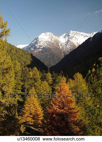 Switzerland, Europe, Graubunden, Grisons, Fluelapass, P d'Arpiglias View Large Photo Image Stock Photo - Switzerland, Europe, Graubunden, Grisons, Fluelapass, P d'Arpiglias. Fotosearch