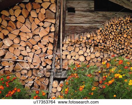 Switzerland, Europe, valais, wallis, Val d'Anniviers, Ayer, woodpile, flowers, close-up View Large Photo Image Picture - Switzerland, Europe, valais, wallis, Val d'Anniviers, Ayer, woodpile, flowers, close-up. Fotosearch