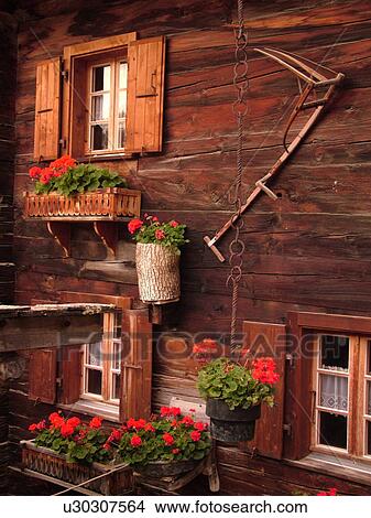 Switzerland, Europe, valais, wallis, Val d'Anniviers, Grimentz, alpine village, old wooden chalet decorated with red geraniums, close-up View Large Photo Image Picture - Switzerland, Europe, valais, wallis, Val d'Anniviers, Grimentz, alpine village, old wooden chalet decorated with red geraniums, close-up. Fotosearch