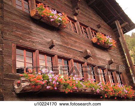 Stock Image -  Switzerland, Europe, valais, wallis, Val d'Anniviers, Grimentz, chalet, close-up, windows, pink and red geraniums in old wooden window boxes. Fotosearch