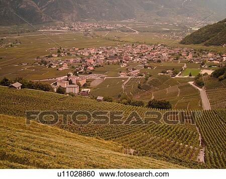 Switzerland, Europe, valais, wallis, Leytron, Rhone Valley, Fendant Wine Region View Large Photo Image Stock Image - Switzerland, Europe, valais, wallis, Leytron, Rhone Valley, Fendant Wine Region. Fotosearch