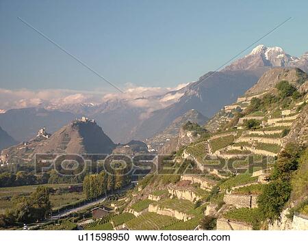 Stock Image -  Switzerland, Europe, valais, wallis, Sion, Rhone Valley, Fendant Wine Region, wine harvest, vineyards, steep hillsides. Fotosearch