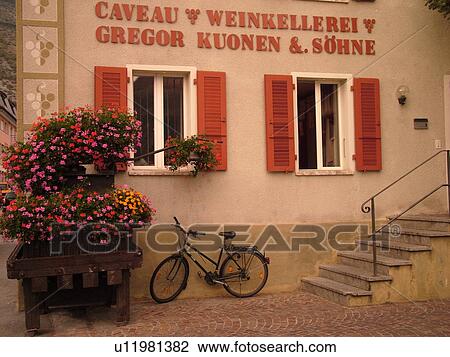 Stock Image -  Switzerland, Europe, valais, wallis, Salgesh, Rhone Valley, Fendant Wine Region, wine harvest, wineries. Fotosearch
