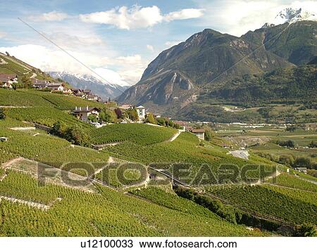 Stock Image -  Switzerland, Europe, valais, wallis, Chermignon, Rhone Valley, Fendant Wine Region, vineyards, river valley, mountains. Fotosearch