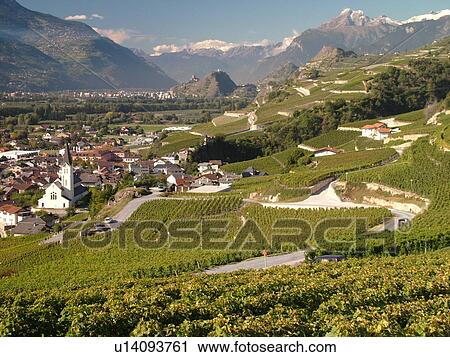 Switzerland, Europe, valais, wallis, Sion, Rhone Valley, Fendant Wine Region, vineyards View Large Photo Image Stock Image - Switzerland, Europe, valais, wallis, Sion, Rhone Valley, Fendant Wine Region, vineyards. Fotosearch