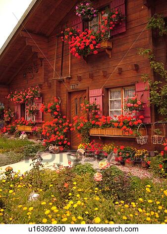 Switzerland, Europe, valais, wallis, Val d'Anniviers, Grimentz, old chalet adorned with red geraniums View Large Photo Image Stock Image - Switzerland, Europe, valais, wallis, Val d'Anniviers, Grimentz, old chalet adorned with red geraniums. Fotosearch