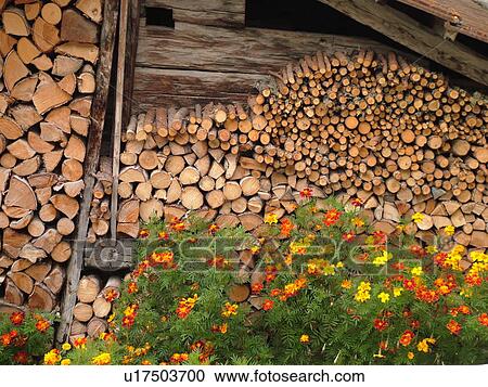 Switzerland, Europe, valais, wallis, Val d'Anniviers, Ayer, woodpile, flowers, close-up View Large Photo Image Stock Image - Switzerland, Europe, valais, wallis, Val d'Anniviers, Ayer, woodpile, flowers, close-up. Fotosearch