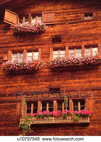 Switzerland, Europe, valais, wallis, Val D'Herens, Evolene, chalet, flowers, windowboxes View Large Photo Image Stock Photo - Switzerland, Europe, valais, wallis, Val D'Herens, Evolene, chalet, flowers, windowboxes. Fotosearch