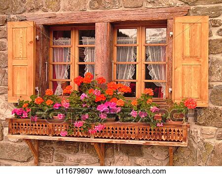 Switzerland, Europe, valais, wallis, Val d'Anniviers, Grimentz, close-up, window, wooden shutters, pink and red geraniums in window box View Large Photo Image Stock Photo - Switzerland, Europe, valais, wallis, Val d'Anniviers, Grimentz, close-up, window, wooden shutters, pink and red geraniums in window box. Fotosearch