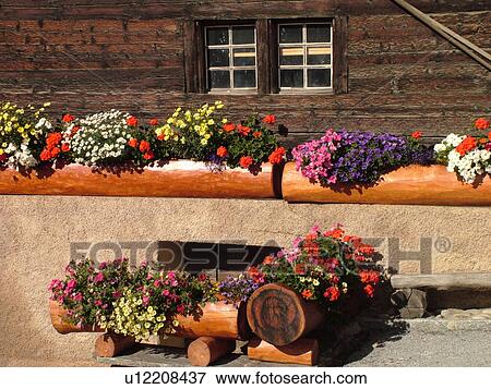 Stock Photo -  Switzerland, Europe, valais, wallis, Val d'Anniviers, St. Luc, chalet, flowers, wooden planters, close-up. Fotosearch