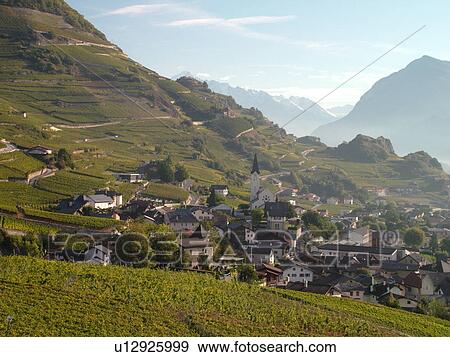 Switzerland, Europe, valais, wallis, Sion, Rhone Valley, Fendant Wine Region, vineyards View Large Photo Image Stock Photo - Switzerland, Europe, valais, wallis, Sion, Rhone Valley, Fendant Wine Region, vineyards. Fotosearch