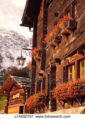 Stock Photo -  Switzerland, Europe, valais, wallis, Val d'Anniviers, Grimentz, alpine village, old wooden chalet decorated with flowers in window boxes, wooden shutters, close-up. Fotosearch