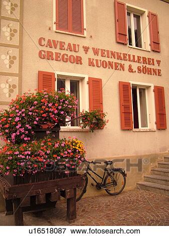 Stock Photo -  Switzerland, Europe, valais, wallis, Salgesh, Rhone Valley, Fendant Wine Region, wine harvest, wineries. Fotosearch