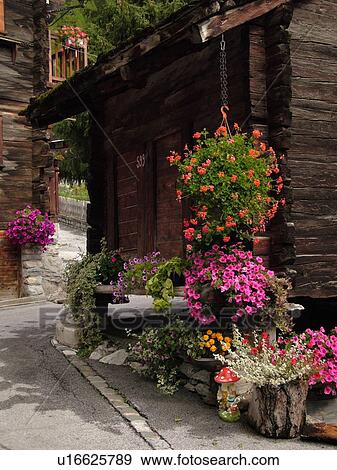 Switzerland, Europe, valais, wallis, Val D'Herens, Evolene, chalets decorated with flowers, windowboxes View Large Photo Image Stock Photo - Switzerland, Europe, valais, wallis, Val D'Herens, Evolene, chalets decorated with flowers, windowboxes. Fotosearch