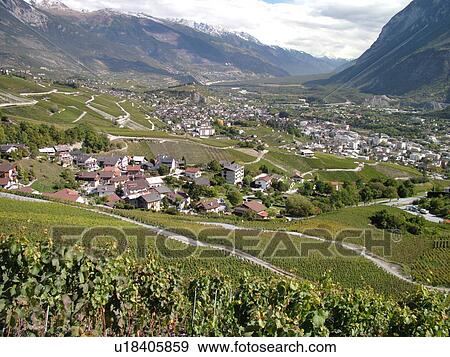 Switzerland, Europe, valais, wallis, Sierre, Rhone Valley, Fendant Wine Region, vineyards, city, valley, mountains View Large Photo Image Stock Photo - Switzerland, Europe, valais, wallis, Sierre, Rhone Valley, Fendant Wine Region, vineyards, city, valley, mountains. Fotosearch