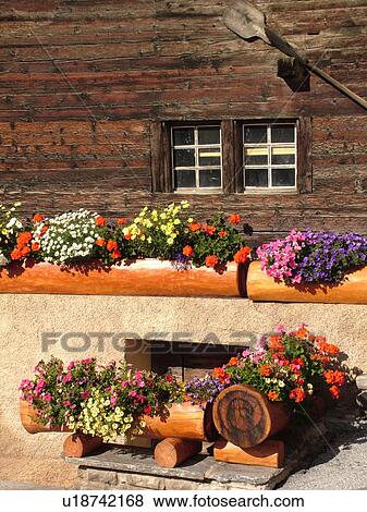 Stock Photo -  Switzerland, Europe, valais, wallis, Val d'Anniviers, St. Luc, chalet, flowers, wooden planters, close-up. Fotosearch