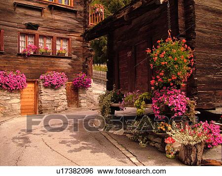 Switzerland, Europe, valais, wallis, Val D'Herens, Evolene, chalets decorated with flowers, windowboxes View Large Photo Image Stock Photograph - Switzerland, Europe, valais, wallis, Val D'Herens, Evolene, chalets decorated with flowers, windowboxes. Fotosearch