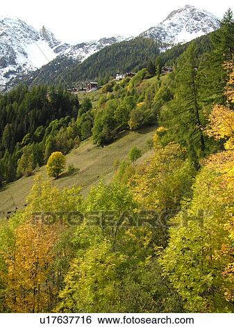 Switzerland, Europe, valais, wallis, Val d'Anniviers, Grimentz View Large Photo Image Stock Photograph - Switzerland, Europe, valais, wallis, Val d'Anniviers, Grimentz. Fotosearch