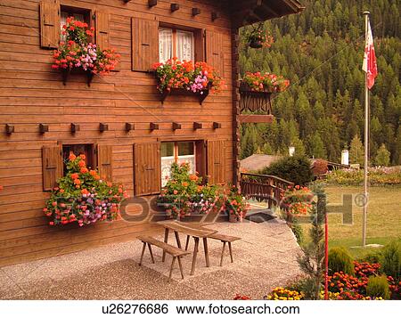 Switzerland, Europe, valais, wallis, Val d'Anniviers, Grimentz, alpine village, wooden chalet decorated with geraniums, window boxes, deck, balcony, flag View Large Photo Image Stock Photograph - Switzerland, Europe, valais, wallis, Val d'Anniviers, Grimentz, alpine village, wooden chalet decorated with geraniums, window boxes, deck, balcony, flag. Fotosearch