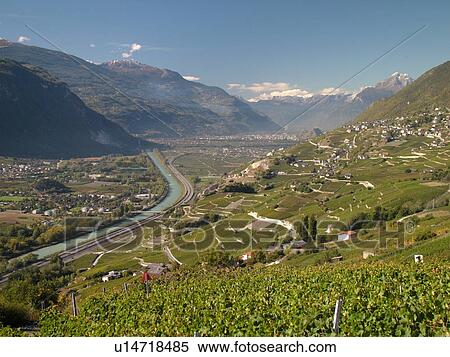 Stock Photography -  Switzerland, Europe, valais, wallis, Sion, Rhone Valley, Fendant Wine Region, wine harvest, vineyards, Le Rhone. Fotosearch