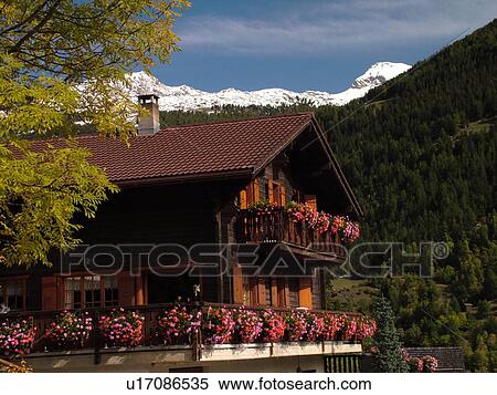 Switzerland, Europe, valais, wallis, Val d'Anniviers, St. Jean, chalet decorated with flowers View Large Photo Image Stock Photography - Switzerland, Europe, valais, wallis, Val d'Anniviers, St. Jean, chalet decorated with flowers. Fotosearch
