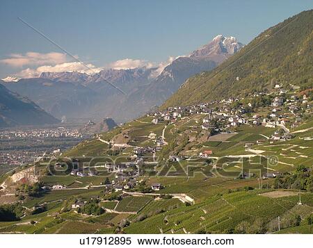 Stock Photography -  Switzerland, Europe, valais, wallis, Sion, Rhone Valley, Fendant Wine Region, vineyards. Fotosearch
