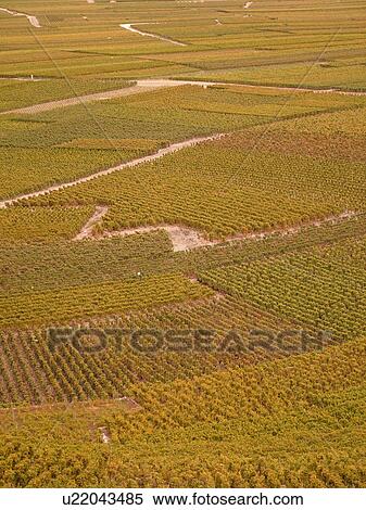 Switzerland, Europe, valais, wallis, Leytron, Rhone Valley, Fendant Wine Region View Large Photo Image Stock Photography - Switzerland, Europe, valais, wallis, Leytron, Rhone Valley, Fendant Wine Region. Fotosearch