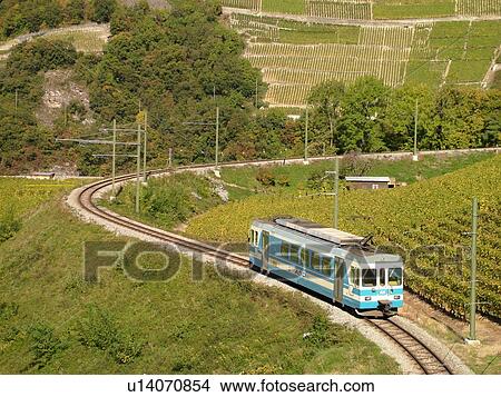 Switzerland, Europe, Vaud, Aigle, vineyards, ASD, train View Large Photo Image Picture - Switzerland, Europe, Vaud, Aigle, vineyards, ASD, train. Fotosearch