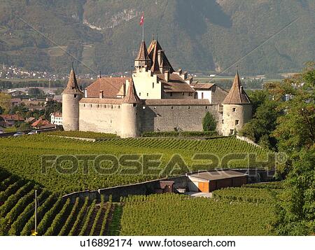 Switzerland, Europe, Vaud, Aigle, Chateau d'Aigle, vineyards View Large Photo Image Picture - Switzerland, Europe, Vaud, Aigle, Chateau d'Aigle, vineyards. Fotosearch