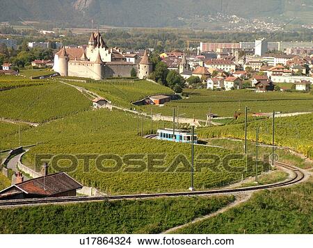 Switzerland, Europe, Vaud, Aigle, Chateau d'Aigle, ASD, train, vineyards View Large Photo Image Picture - Switzerland, Europe, Vaud, Aigle, Chateau d'Aigle, ASD, train, vineyards. Fotosearch