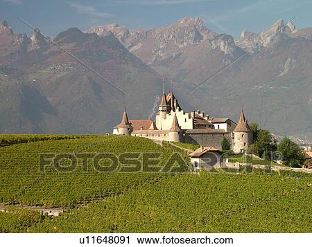 Switzerland, Europe, Vaud, Aigle, Chateau d'Aigle, vineyards View Large Photo Image Stock Image - Switzerland, Europe, Vaud, Aigle, Chateau d'Aigle, vineyards. Fotosearch