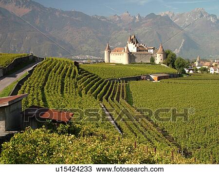 Stock Image -  Switzerland, Europe, Vaud, Aigle, Chateau d'Aigle, vineyards. Fotosearch