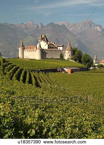 Stock Image -  Switzerland, Europe, Vaud, Aigle, Chateau d'Aigle, vineyards. Fotosearch