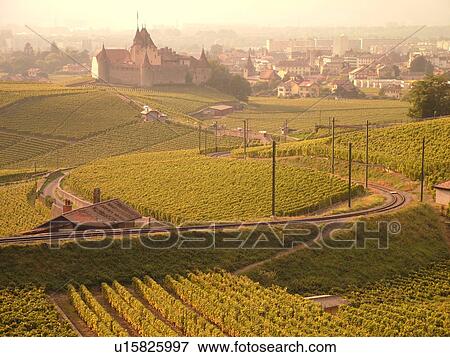 Stock Photo -  Switzerland, Europe, Vaud, Aigle, Chateau d'Aigle, wine harvest, vineyards. Fotosearch