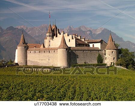 Switzerland, Europe, Vaud, Aigle, Chateau d'Aigle, vineyards View Large Photo Image Stock Photo - Switzerland, Europe, Vaud, Aigle, Chateau d'Aigle, vineyards. Fotosearch