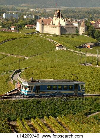 Switzerland, Europe, Vaud, Aigle, Chateau d'Aigle, ASD, train, vineyards View Large Photo Image Stock Photograph - Switzerland, Europe, Vaud, Aigle, Chateau d'Aigle, ASD, train, vineyards. Fotosearch