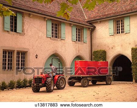 Stock Image -  Switzerland, Europe, Vaud, Bougy, La Cote, wine harvest, chateau, red tractor pulling wagon of red containers filled with grapes. Fotosearch