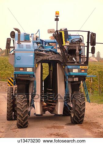 Switzerland, Europe, Vaud, Fechy, La Cote, wine harvest, vineyards, grape collection machine View Large Photo Image Stock Image - Switzerland, Europe, Vaud, Fechy, La Cote, wine harvest, vineyards, grape collection machine. Fotosearch